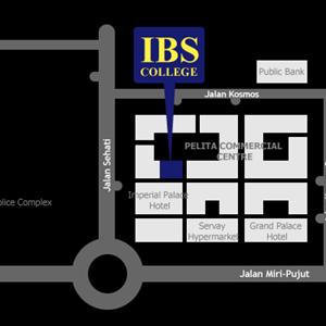 Ibs Solutions Corporation - The Grumbling Gut